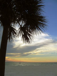 Framed by a palmetto palm, this lone boat shares the ocean with the setting sun. This photo was taken in March of 2005 near Long Key Beach Resort, St. Pete's Beach